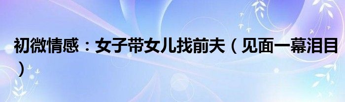 初微情感：女子带女儿找前夫（见面一幕泪目）