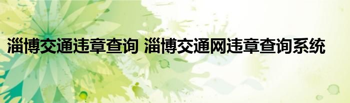 淄博交通违章查询 淄博交通网违章查询系统