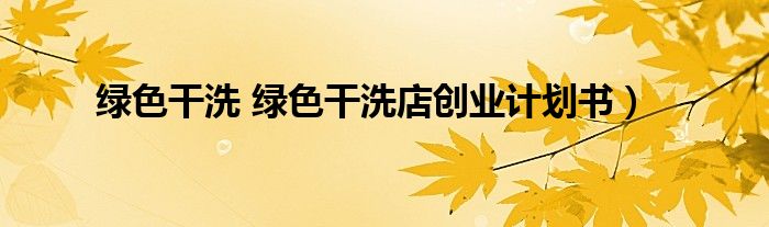 绿色干洗 绿色干洗店创业计划书）