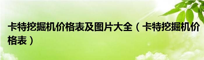 卡特挖掘机价格表及图片大全（卡特挖掘机价格表）