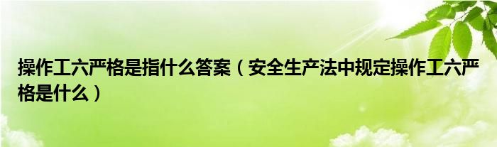 操作工六严格是指什么答案（安全生产法中规定操作工六严格是什么）