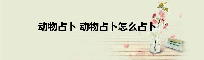 动物占卜 动物占卜怎么占卜
