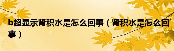 b超显示肾积水是怎么回事（肾积水是怎么回事）
