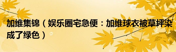 加维集锦（娱乐圈宅急便：加维球衣被草坪染成了绿色）