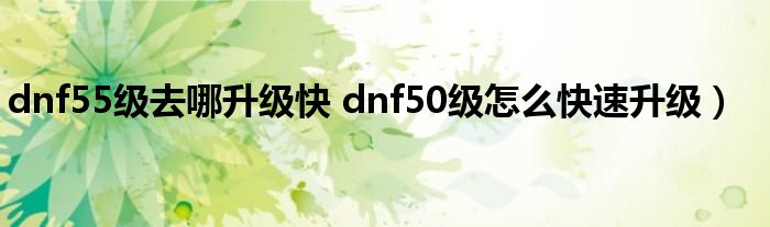 dnf55级去哪升级快 dnf50级怎么快速升级）