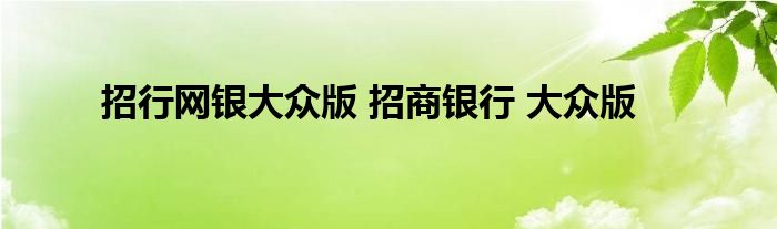 招行网银大众版 招商银行 大众版