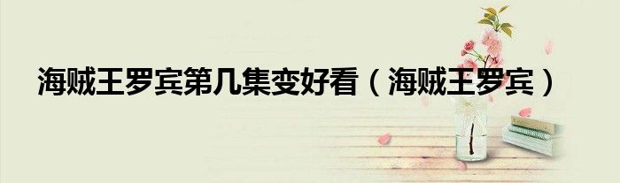 海贼王罗宾第几集变好看（海贼王罗宾）