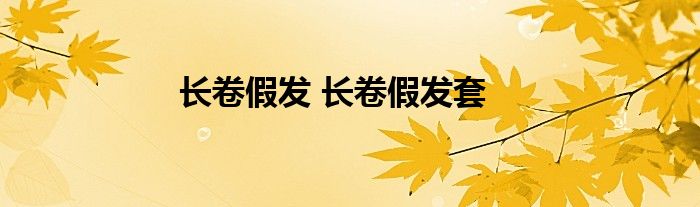 长卷假发 长卷假发套