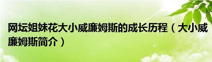 网坛姐妹花大小威廉姆斯的成长历程（大小威廉姆斯简介）