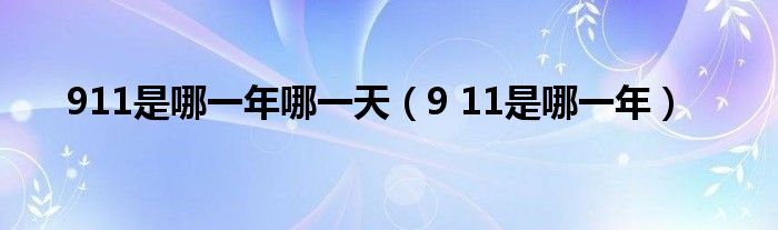 911是哪一年哪一天（9 11是哪一年）