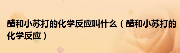 醋和小苏打的化学反应叫什么（醋和小苏打的化学反应）