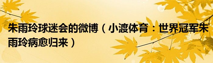 朱雨玲球迷会的微博（小渡体育：世界冠军朱雨玲病愈归来）