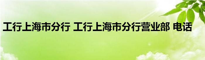 工行上海市分行 工行上海市分行营业部 电话