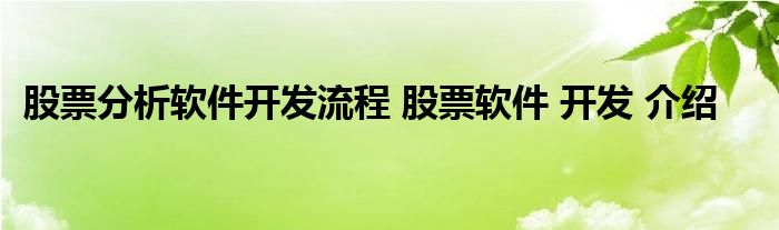 股票分析软件开发流程 股票软件 开发 介绍