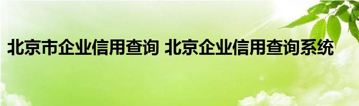 北京市企业信用查询 北京企业信用查询系统