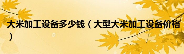 大米加工设备多少钱（大型大米加工设备价格）