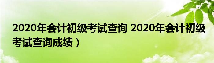 2020年会计初级考试查询 2020年会计初级考试查询成绩）