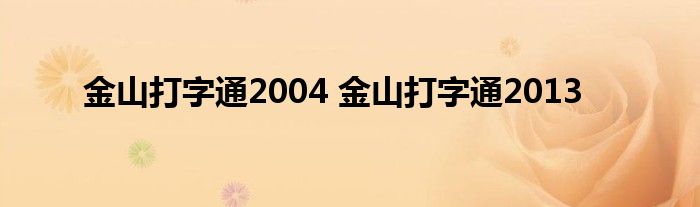 金山打字通2004 金山打字通2013