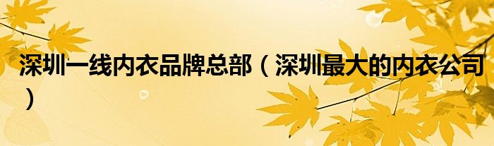 深圳一线内衣品牌总部（深圳最大的内衣公司）