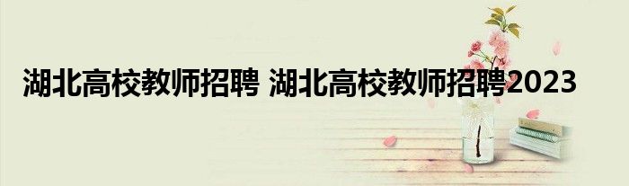 湖北高校教师招聘 湖北高校教师招聘2023