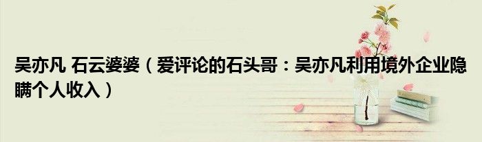 吴亦凡 石云婆婆（爱评论的石头哥：吴亦凡利用境外企业隐瞒个人收入）