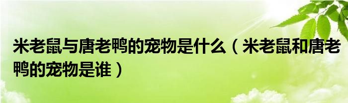 米老鼠与唐老鸭的宠物是什么（米老鼠和唐老鸭的宠物是谁）