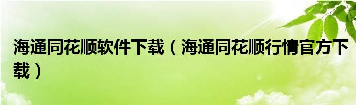 海通同花顺软件下载（海通同花顺行情官方下载）
