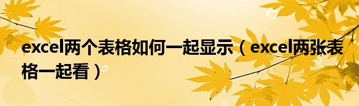 excel两个表格如何一起显示（excel两张表格一起看）