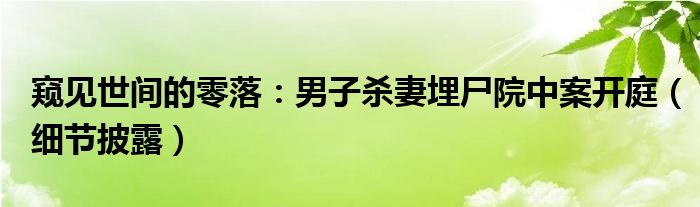 窥见世间的零落：男子杀妻埋尸院中案开庭（细节披露）