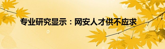 专业研究显示：网安人才供不应求