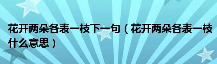 花开两朵各表一枝下一句（花开两朵各表一枝什么意思）