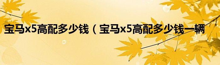 宝马x5高配多少钱（宝马x5高配多少钱一辆