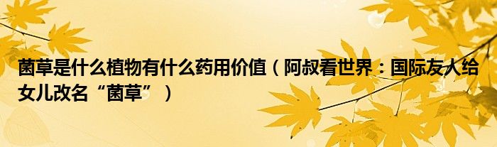 菌草是什么植物有什么药用价值（阿叔看世界：国际友人给女儿改名“菌草”）