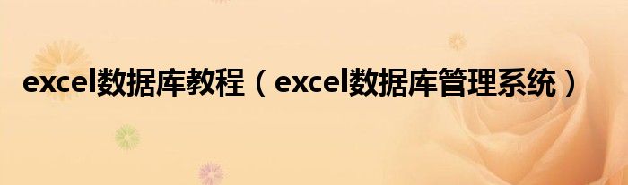 excel数据库教程（excel数据库管理系统）