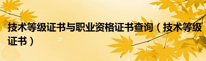 技术等级证书与职业资格证书查询（技术等级证书）