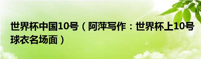 世界杯中国10号（阿萍写作：世界杯上10号球衣名场面）