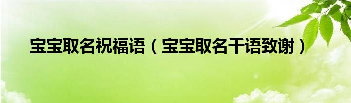 宝宝取名祝福语（宝宝取名千语致谢）