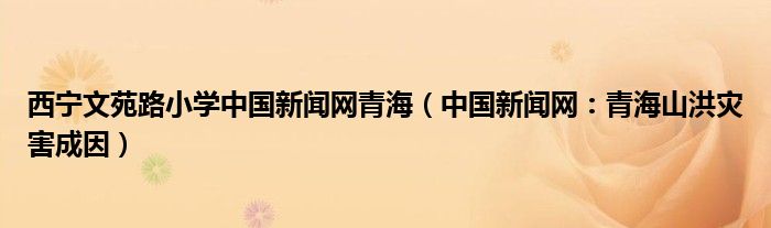 西宁文苑路小学中国新闻网青海（中国新闻网：青海山洪灾害成因）
