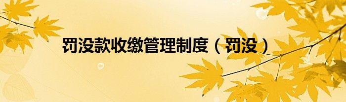 罚没款收缴管理制度（罚没）