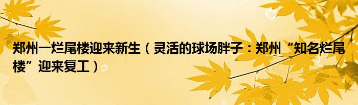 郑州一烂尾楼迎来新生（灵活的球场胖子：郑州“知名烂尾楼”迎来复工）