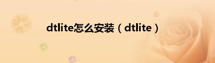 dtlite怎么安装（dtlite）