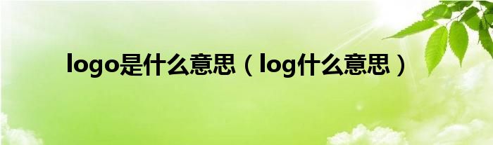 logo是什么意思（log什么意思）