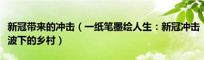 新冠带来的冲击（一纸笔墨绘人生：新冠冲击波下的乡村）