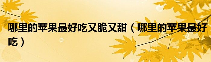 哪里的苹果最好吃又脆又甜（哪里的苹果最好吃）