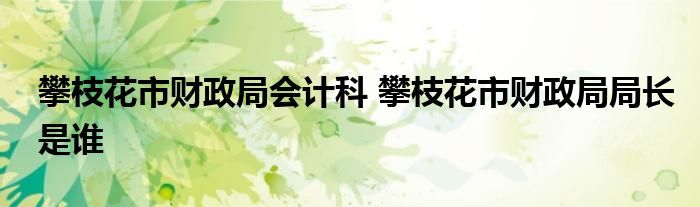 攀枝花市财政局会计科 攀枝花市财政局局长是谁