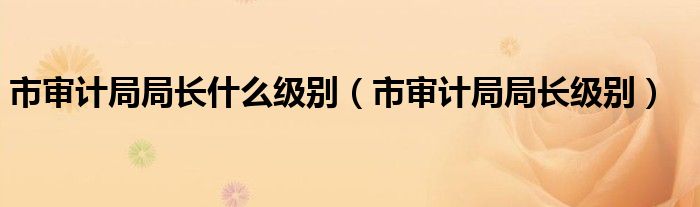 市审计局局长什么级别（市审计局局长级别）
