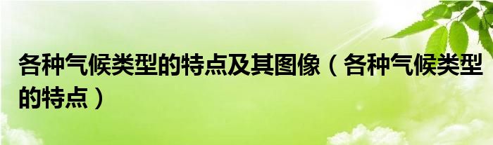 各种气候类型的特点及其图像（各种气候类型的特点）