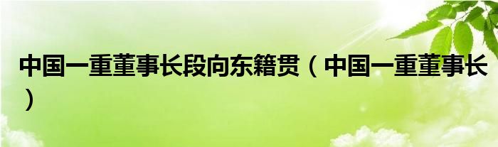 中国一重董事长段向东籍贯（中国一重董事长）