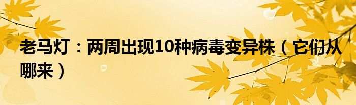 老马灯：两周出现10种病毒变异株（它们从哪来）