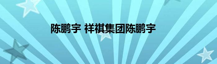 陈鹏宇 祥祺集团陈鹏宇